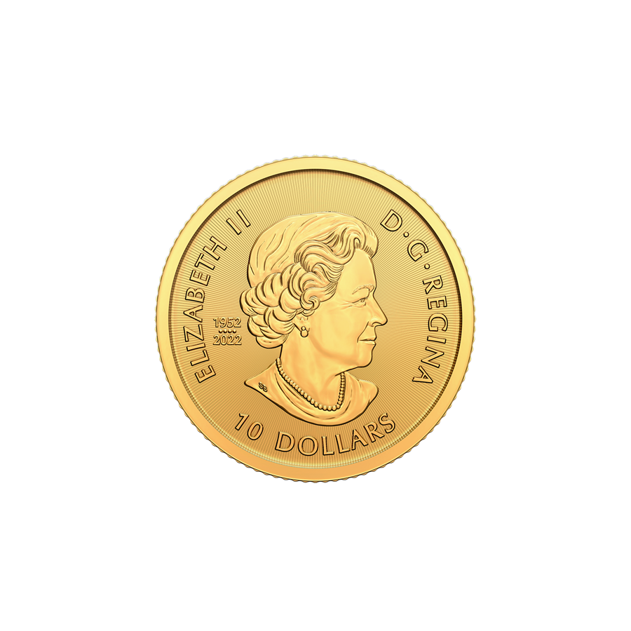 1/4 oz Canadian Bison Gold Coin - 24h Shipping!