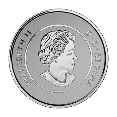 srebrna-moneta-kanadyjska-flaga-2015-rewers 2