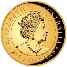zlota-moneta-australijski-kangur-wysoki-relief-2021-2-uncje-rewers2 2