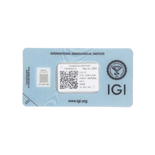 Natural Diamond 0,31 CT / Natural Fancy Intense Yellowish Orange / Square Cushion Modified Brilliant / VS2 / G - 24h Shipping!